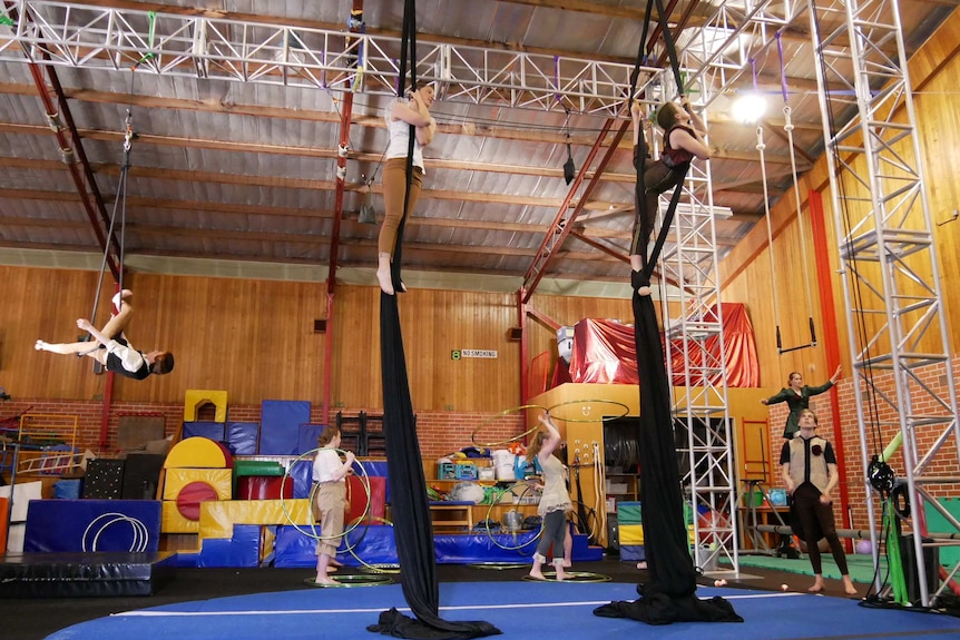 Performers in circus training.
