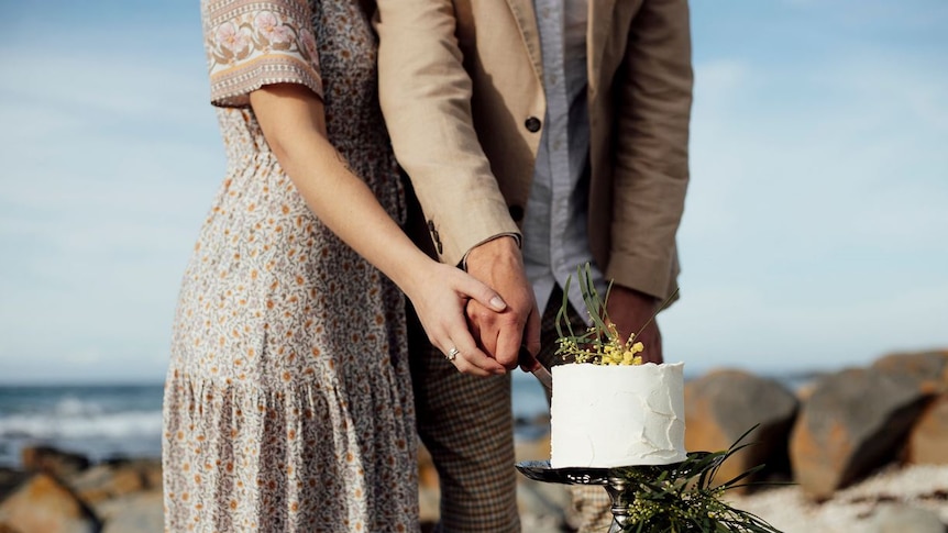 A bride and groom cut a wedding cake.