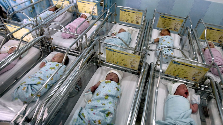 A group of babies lie in a private hospital in Indonesia