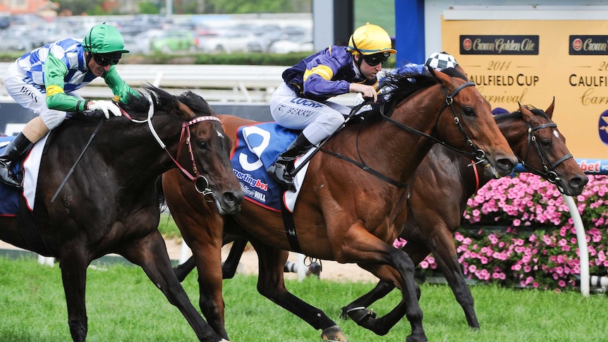 Big Memory, ridden by Tommy Berry, wins the Herbert Power Stakes at Caulfield on October 11, 2014.