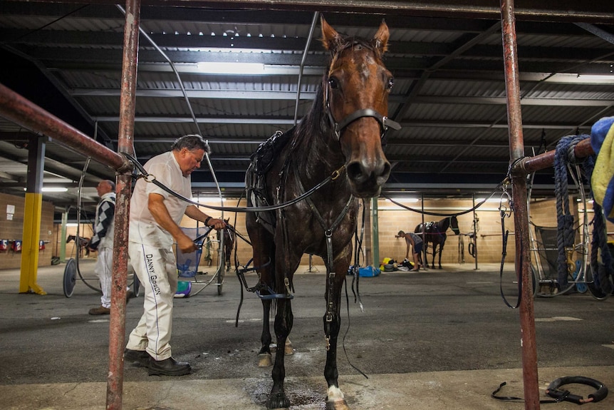 A man tends to his horse inside a stable.