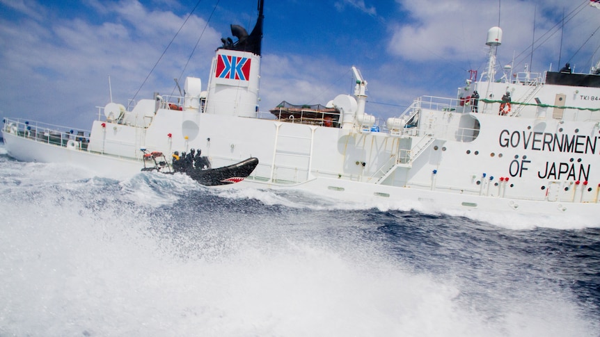 Shonan Maru 2