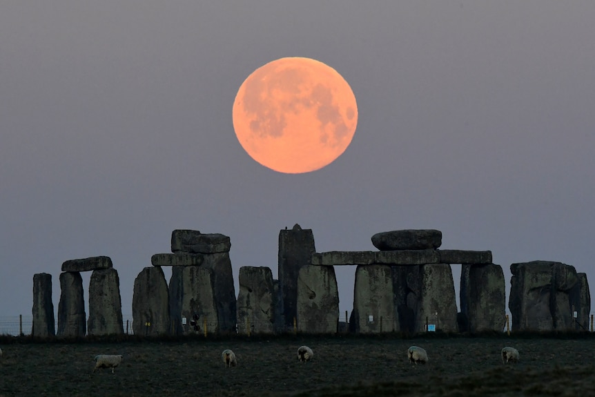 Super 'pink' moon shines across Australia as photographers snap their best  shots - ABC News