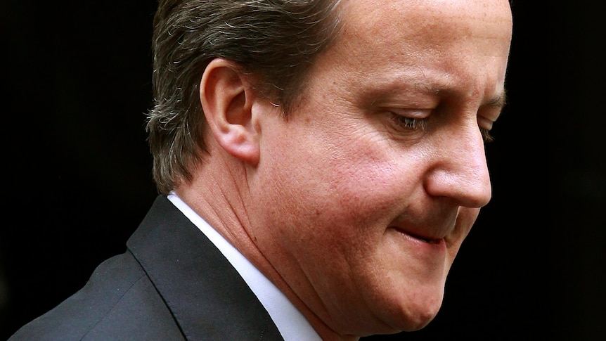 European leaders must "roll up their sleeves", David Cameron says