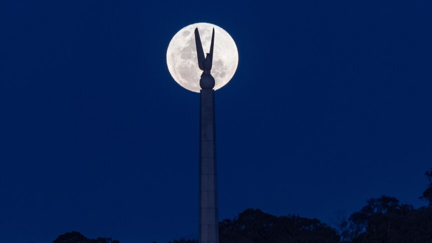 A supermoon behind a statue of an eagle on a concrete pole.
