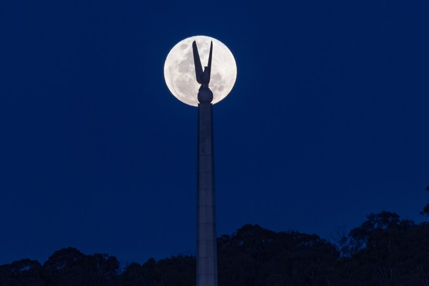 A supermoon behind a statue of an eagle on a concrete pole.