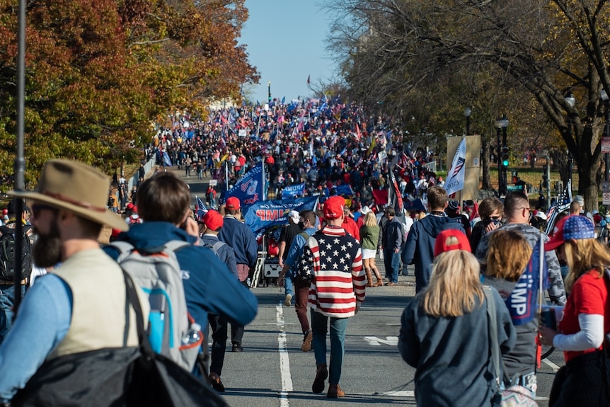 crowds of people walk up a street lined with trees