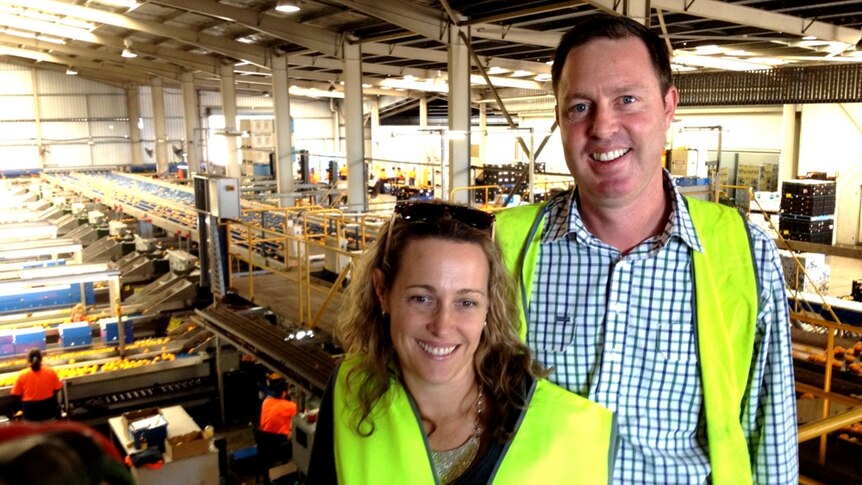 Brent and Rachel Chambers look over thousands of mandarins being processed at the Central Burnett packing shed in Mundubbera.