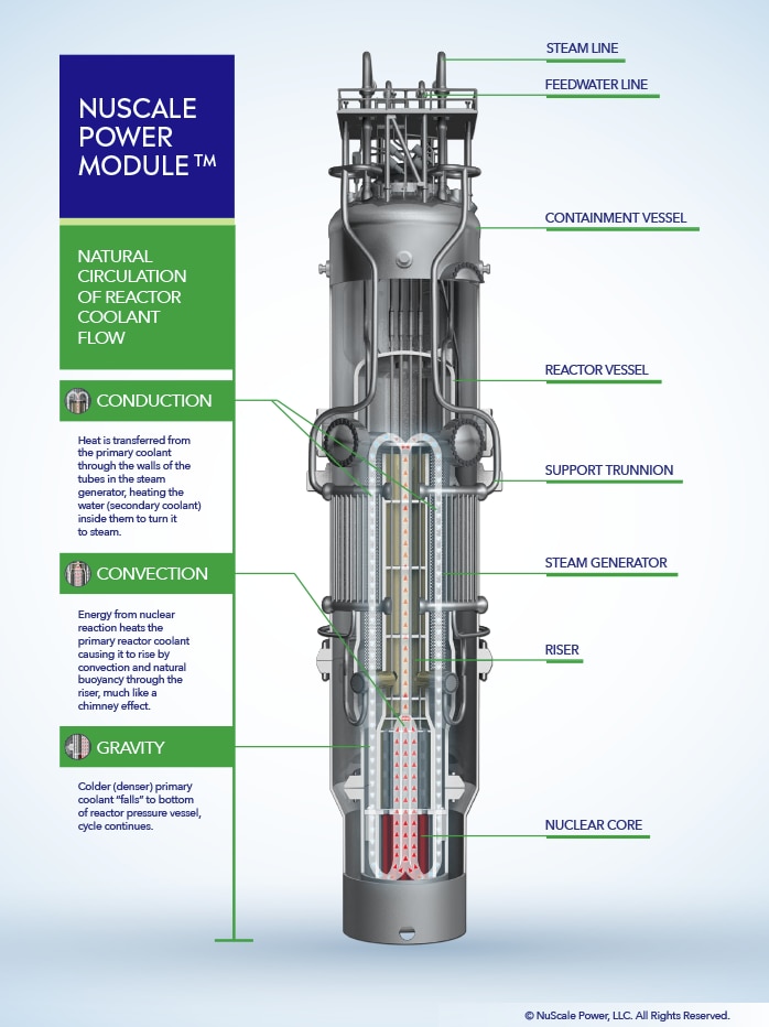 A diagram of a small modular nuclear reactor