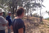 Upper Hermitage residents watch bushfire