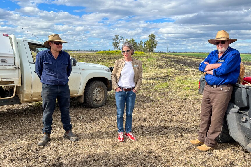 Farmers Russell Bennie and Doug Brown with Toowoomba Councillor Megan O'Hara Sullivan near Springvale Queensland, October 2022.
