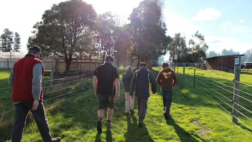 The students and supervisors heading back from the paddock on the Jordan River school farm