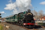 A wide shot of a dark green steam locomotive with steam above it and blue skies and trees behind.