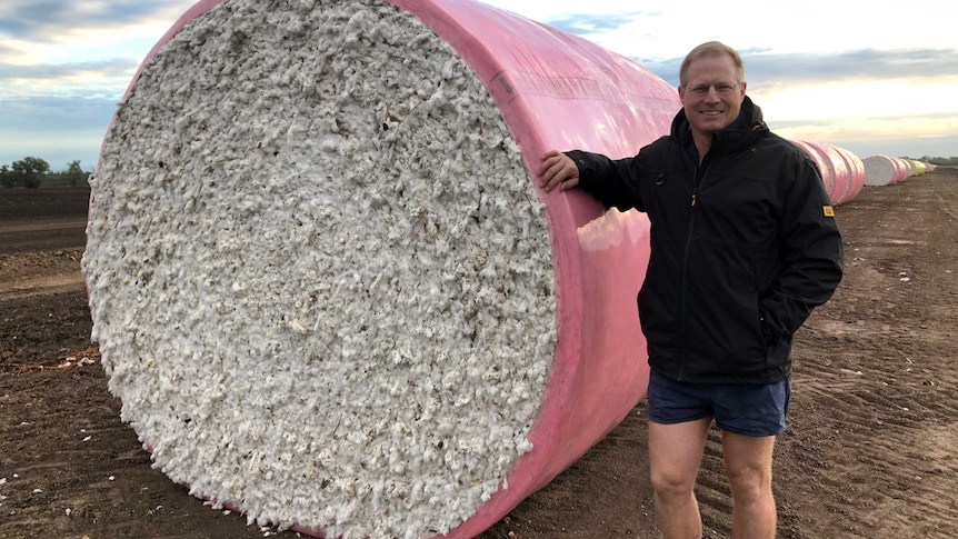 Greg Hutchinson stands next to a bale of cotton at his property near Moura