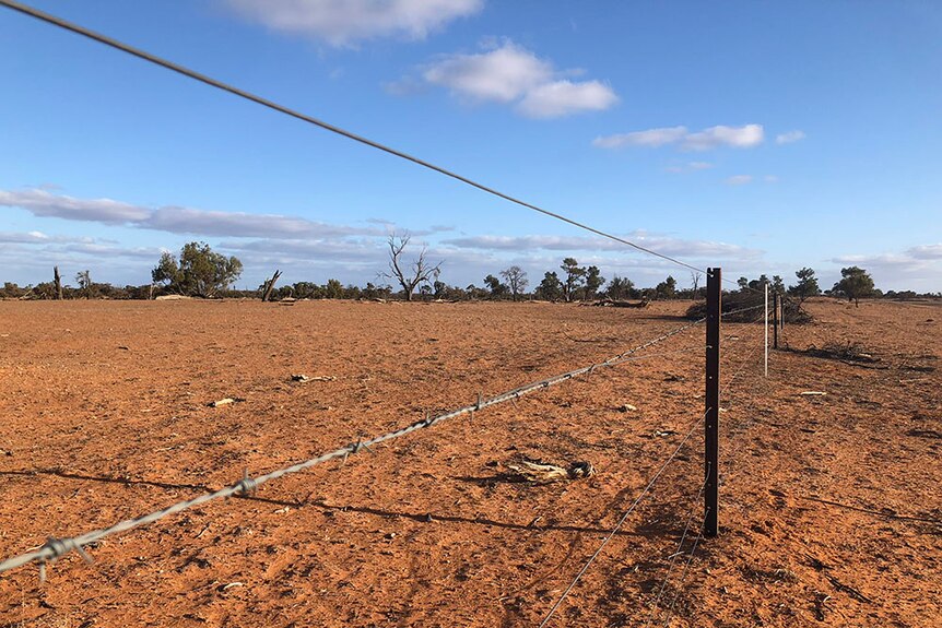 A barbed wire fence in a dry, dusty rural area of Australia
