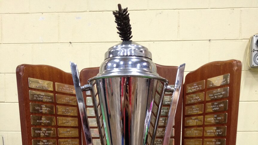 A silver trophy surrounded by a brown shield.