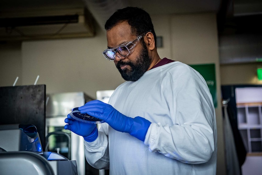 A man looking at samples