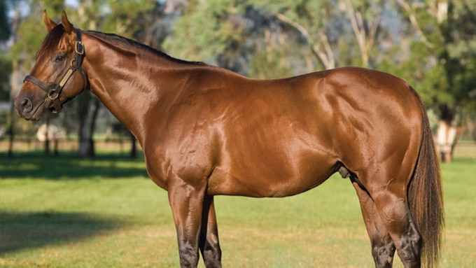 Northern Meteor, one of the most successful sires in NSW breeding history, died on Tuesday after a colic attack.