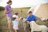 The Cordner family - mum, dad and two daughters on their Ingham chicken farm with their dogs and chooks around them.