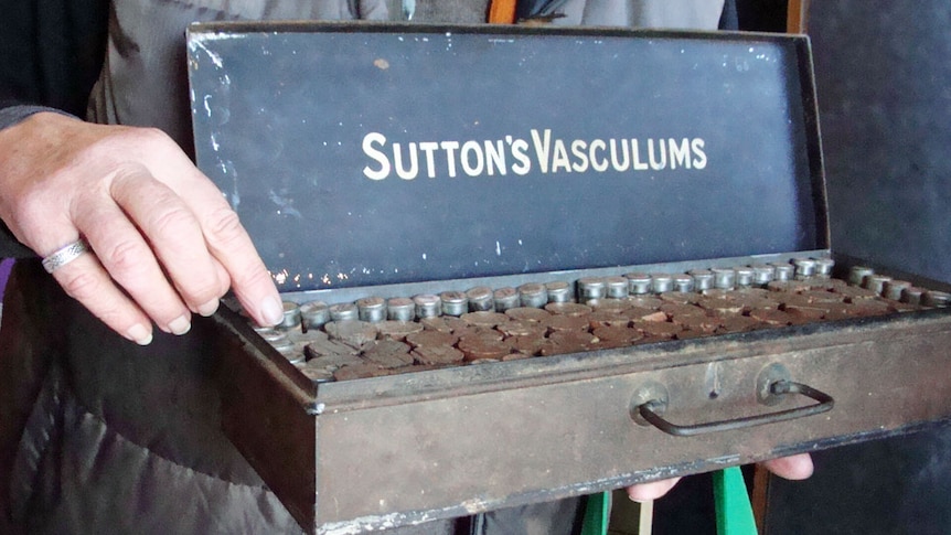 Jillian Weston holds a long 1930's vintage metal box containing 60 small vials of seeds