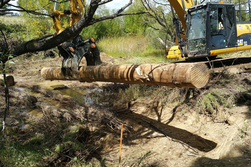 Logs are brought into Mulloon Creek to create a leaky weir.