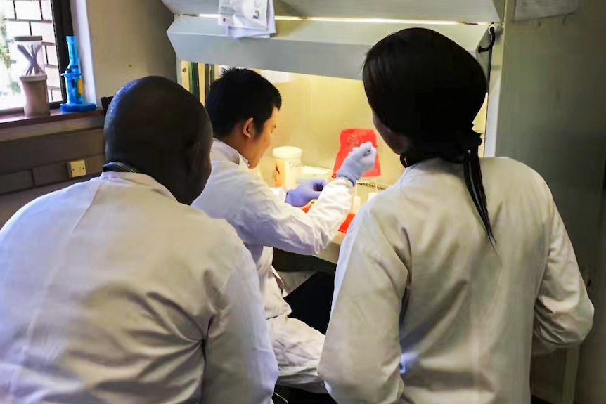 Jinzhao works in the lab, with two colleagues standing behind him.