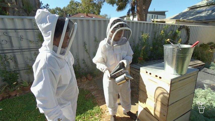2 people wearing bee keeping outfits preparing to smoke the hive
