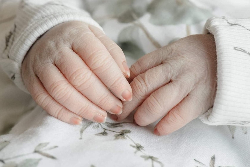 a photo of a baby's hands 