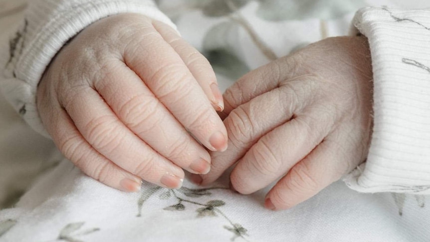 a photo of a baby's hands 