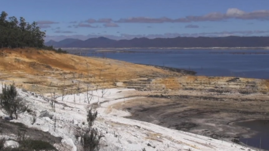 The exposed banks of Lake Gordon dam are peppered with trees that once lined the river.