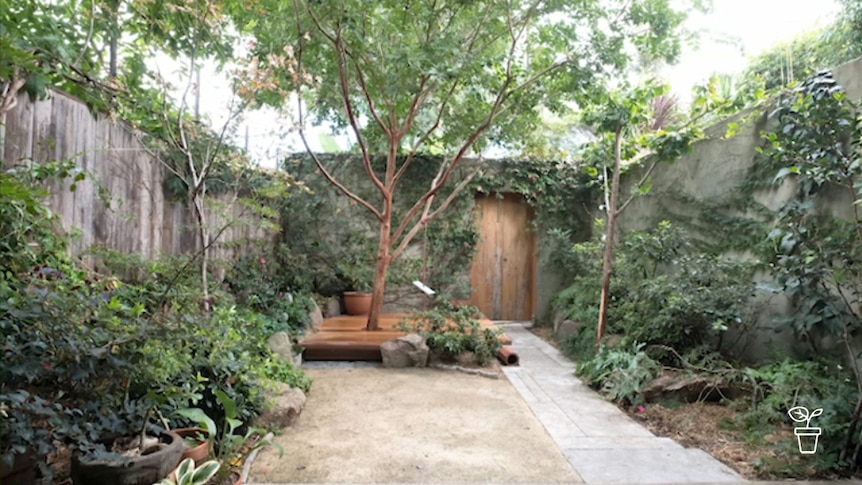 Courtyard garden with decking area and solid wood back gate