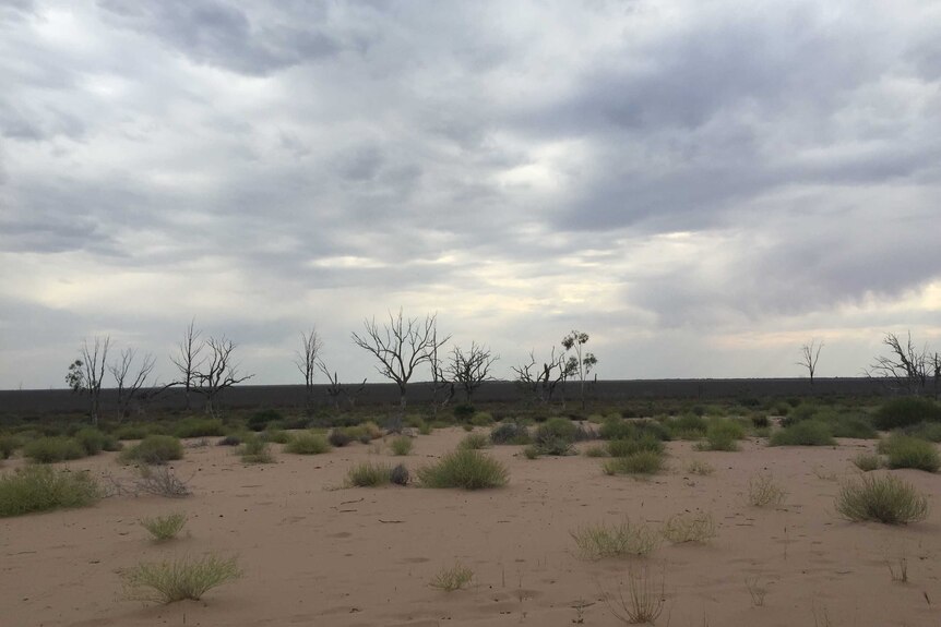 The dry bed of Lake Menindee.