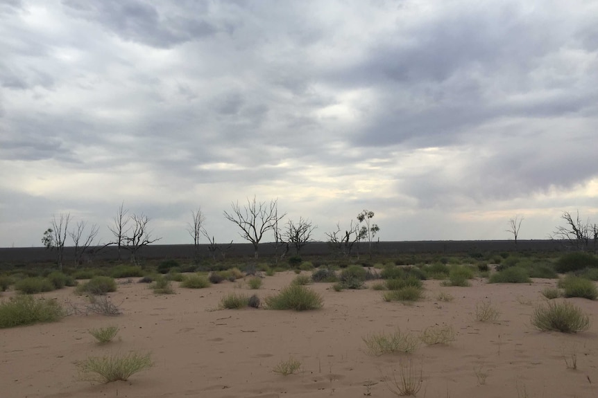 The dry bed of Lake Menindee.