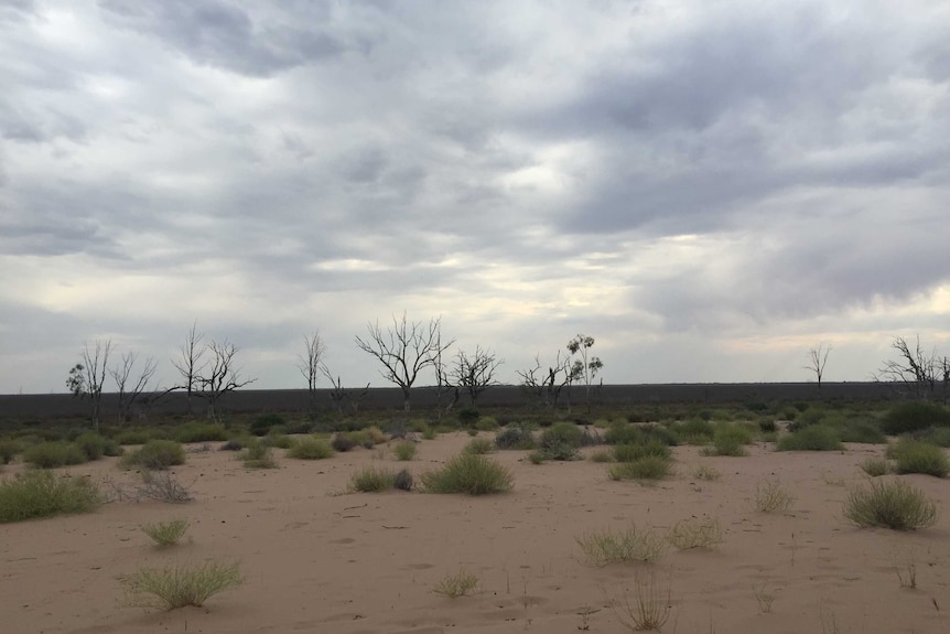 Lake Menindee October 2015