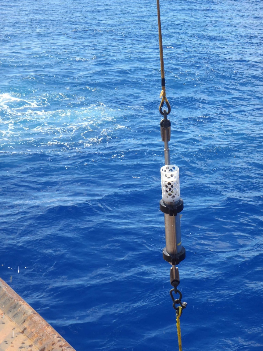 A cylindrical hydrophone being lifted out of the ocean.