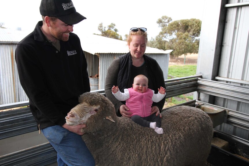 A mother and father holding their baby, who is sitting on the back of a sheep.