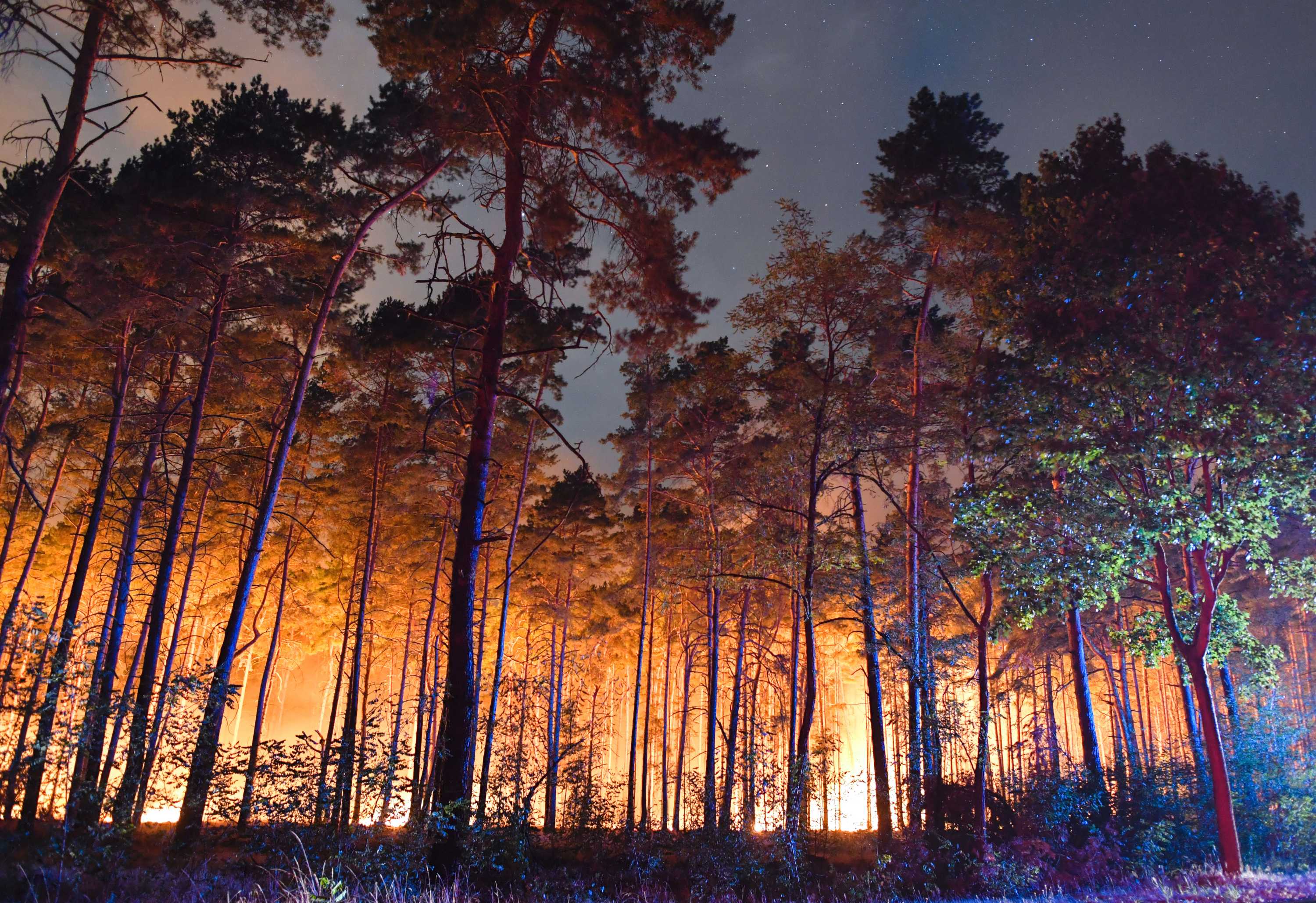 World War II Arms Explode In Germany As Huge Wildfire Burns South-west ...