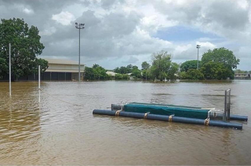 A crocodile trap floats in floodwaters with town buildings in the background.