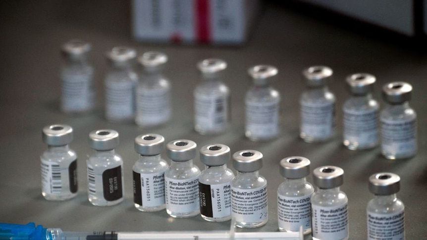 Pfizer vaccine vials lined up in a row