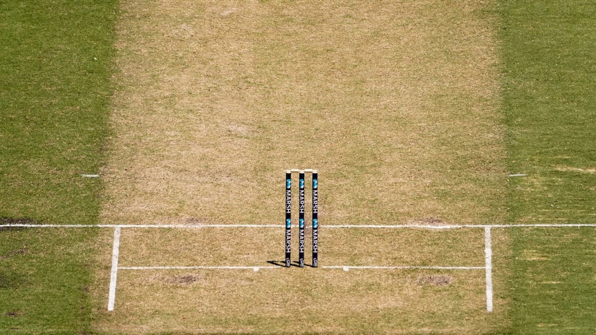 A view of the MCG pitch from high above and behind the stumps.