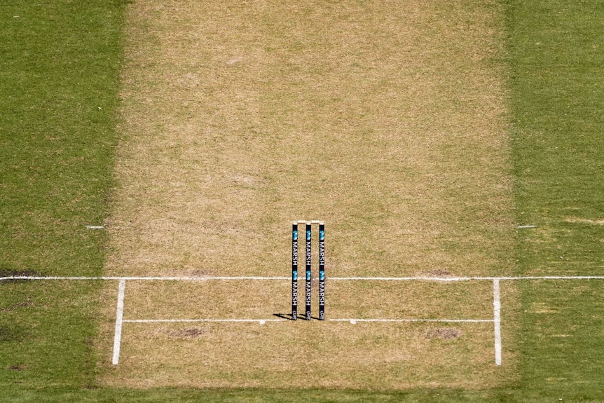 A view of the MCG pitch from high above and behind the stumps.