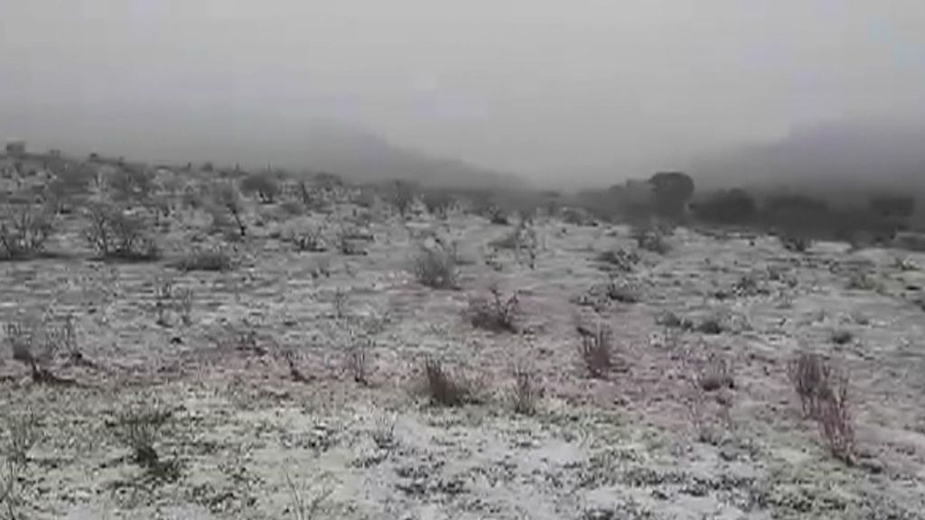 Snow falls in South Australia's Flinders Ranges - ABC News