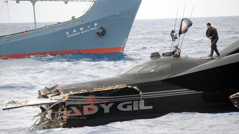 A member of the Sea Shepherd Conservation Society looks at the damage to the vessel Ady Gil