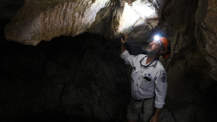 Parks and Conservation ranger Darren Roso inside Cotter Caves.