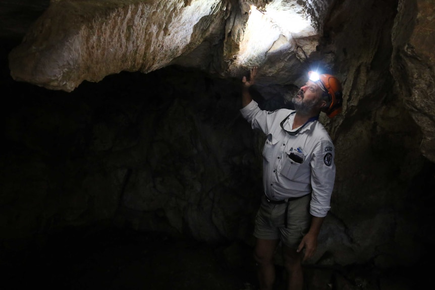Parks and Conservation ranger Darren Roso inside Cotter Caves.