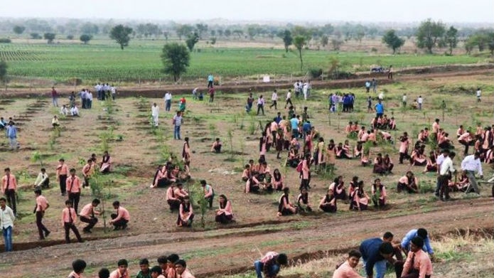 People plant tiny trees in a field.