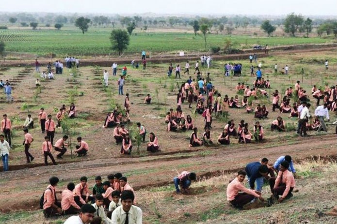 People plant tiny trees in a field.