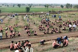 People plant tiny trees in a field.