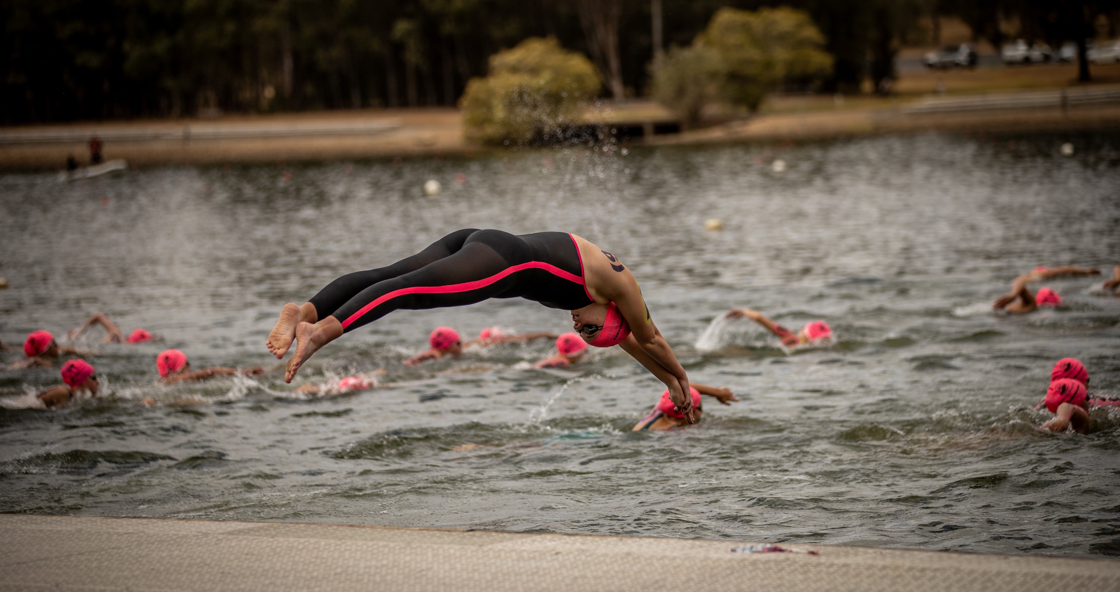 A swimmer in a wetsuit dives into a large body of water.