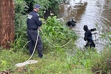Police divers search water